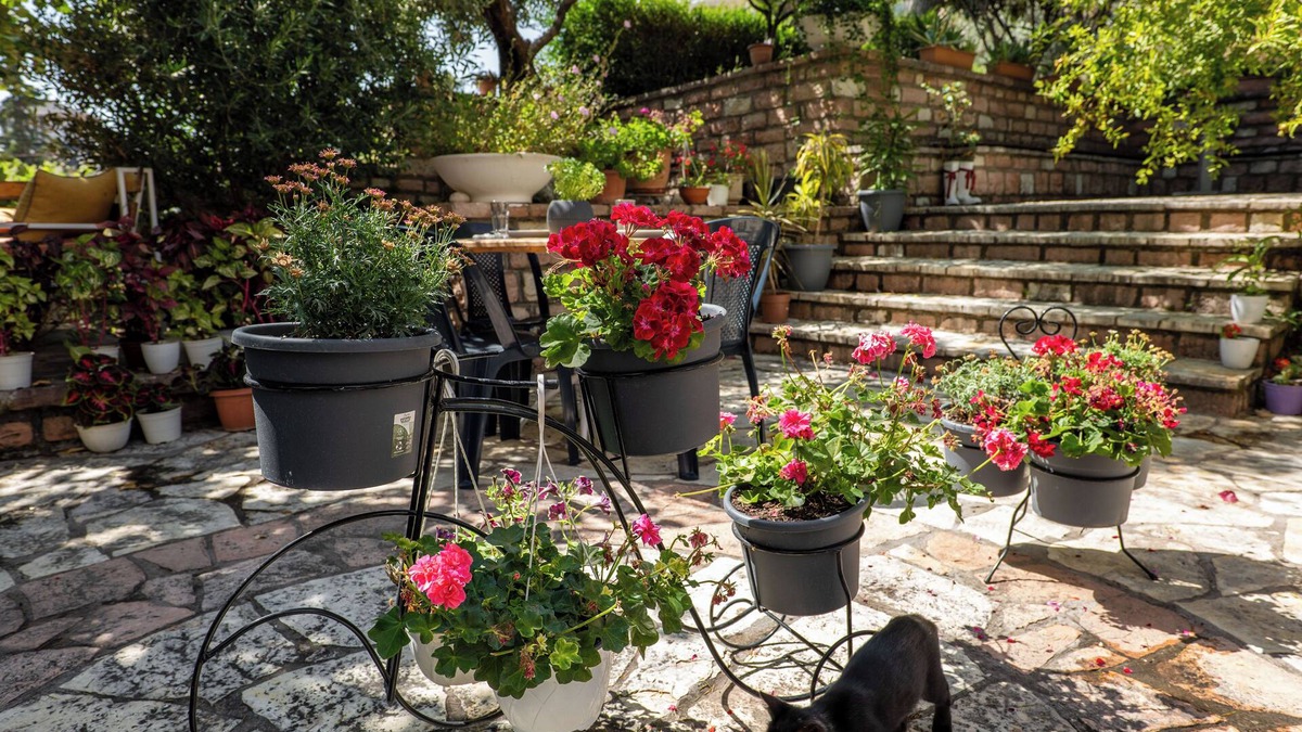 Qafe e Gjashtes House | Villa Green Garden