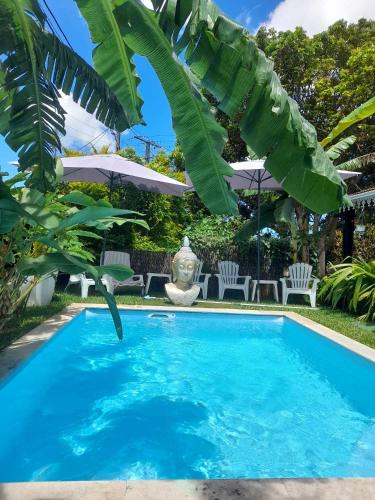 Le Tampon House | Villa Guest House Freedomhome974