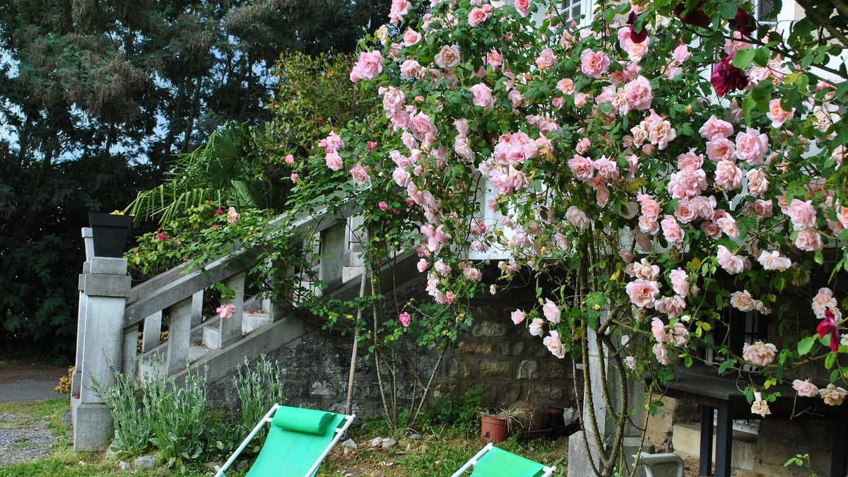 Salies-de-Bearn Bed & Breakfast | Villa Hortebise