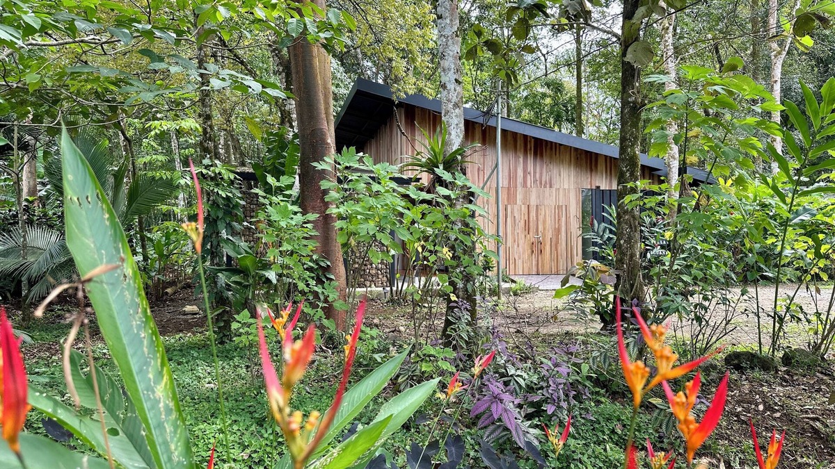 Los Angeles House | Villa Iguana - nice house for Resting Under the Trees