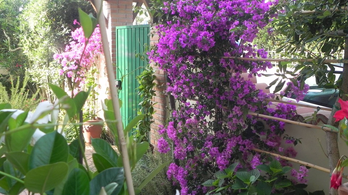 Lido di Camaiore House | Villa Il Fortino