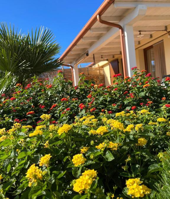 Orosei Villa | Villa Impetrata IUN Q7090
