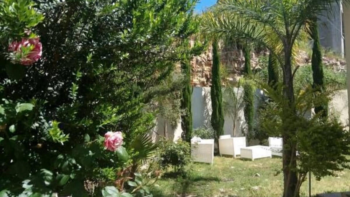 Isfiya Villa | Villa in a natural grovea