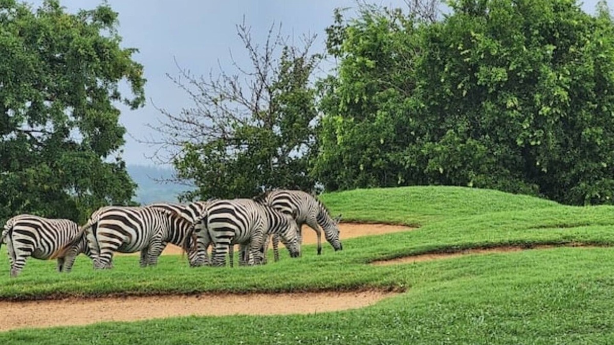 Mombasa Villa | Villa in Vipingo Ridge Golf Course. - Near Mombasa