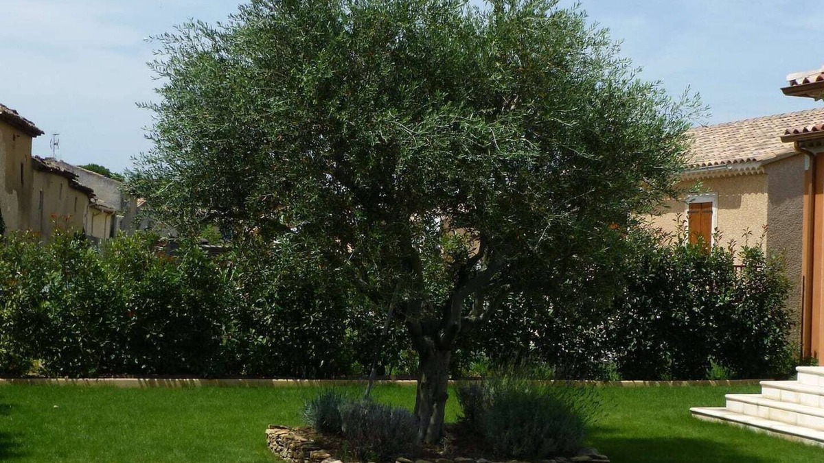 Lapalud Villa | Villa is no longer available for rent - impossible to delete my advert