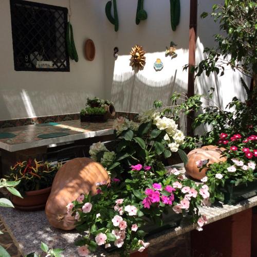 Zambrone Bed & Breakfast | Villa Isabella