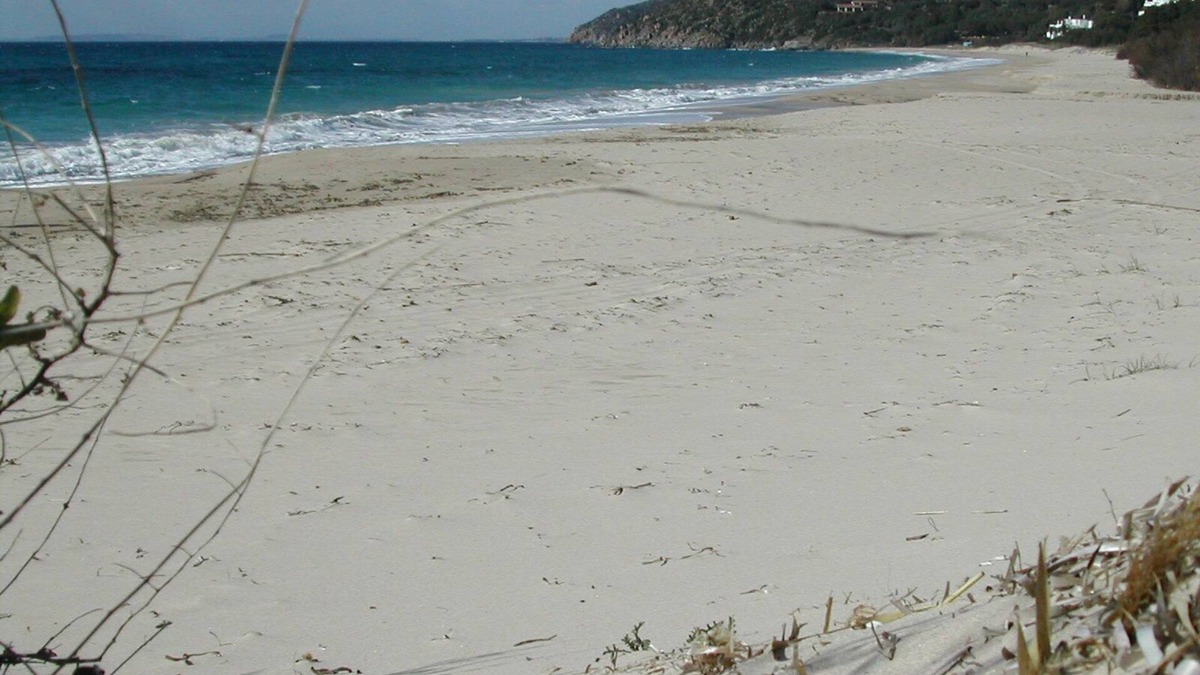 Geremeas Villa | Villa by the sea 30 km from Cagliari CIN IT092037C2000P1416