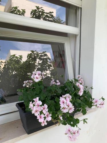 Citta Sant'Angelo House | Villa Jolanda