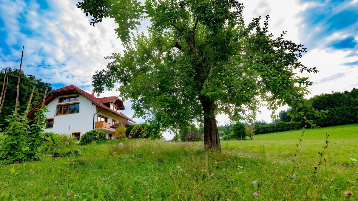 Bostanj Apartment | VILLA KATARINA APARTMENTS Nesteled in nature, wrapped in comfort.