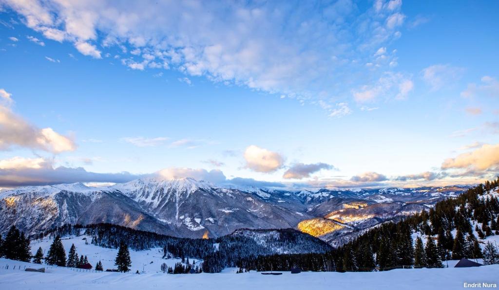 Vitomiricë Ski Chalet | Villa 'kroni i Bores'