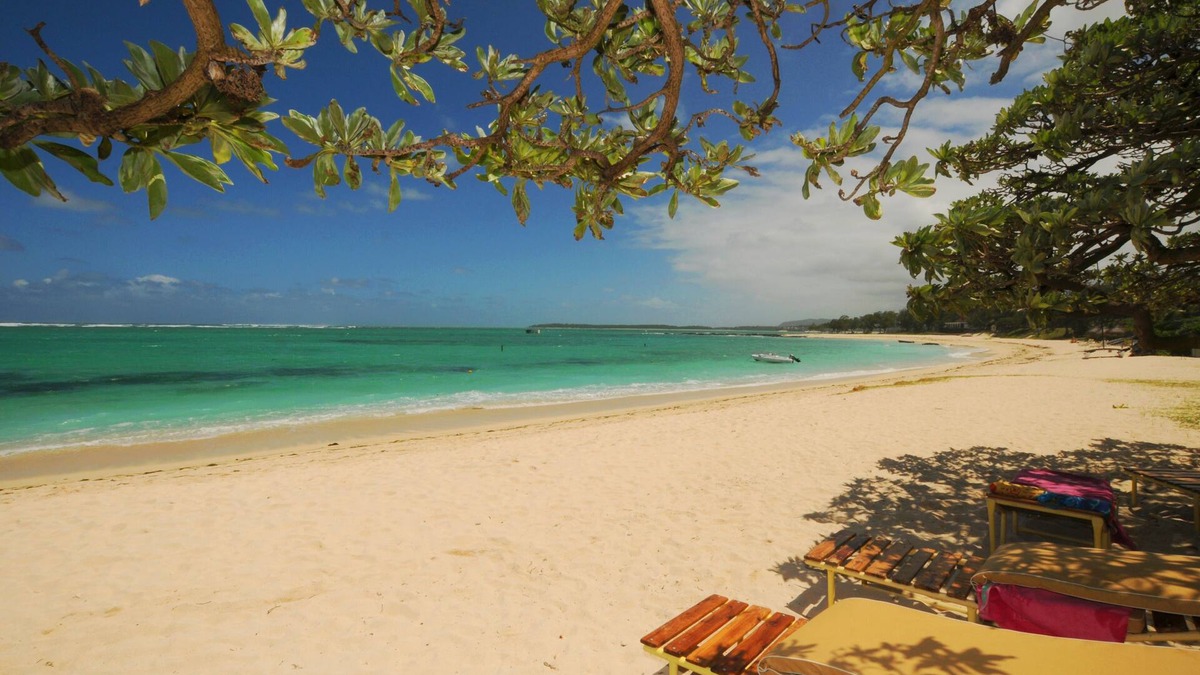 Trou d'Eau Douce Villa | Villa L'Artiste Palmar Plage
