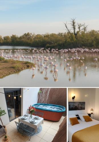 Candillargues Villa | Villa l'Eden de Camargue- Spa et Nature