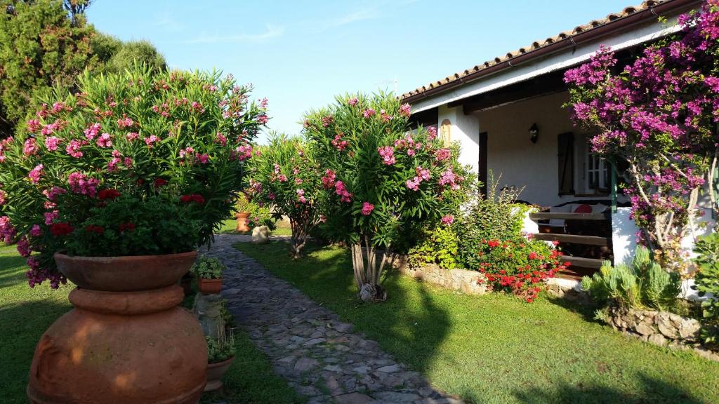 Santa Teresa di Gallura Villa | Villa La Liccia Misia