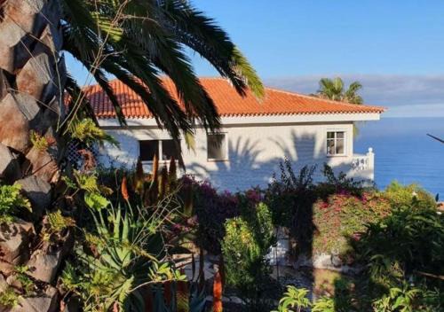 Sauzal Apartment | Villa Larnia de Tenerife