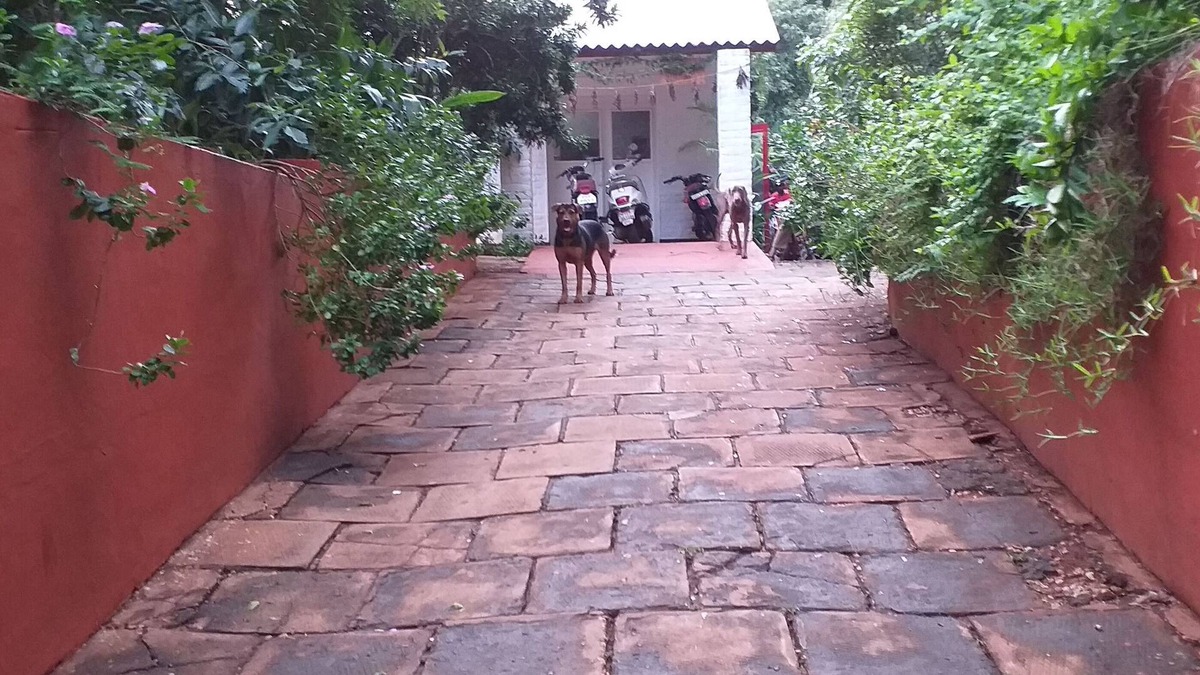 Kuilapalayam Villa | Villa LE BONHEUR AUROVILLE