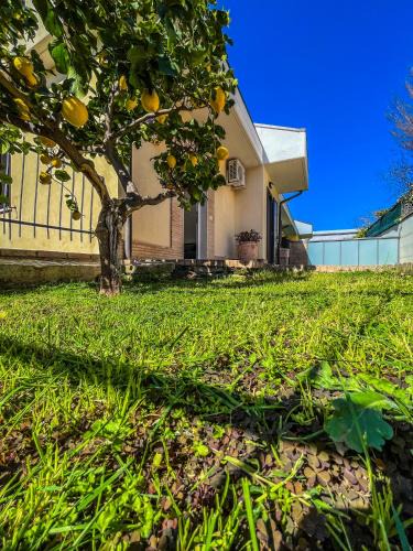 Vasto House | Villa Limone Vasto - Giardino Privato & Accesso Indipendente -