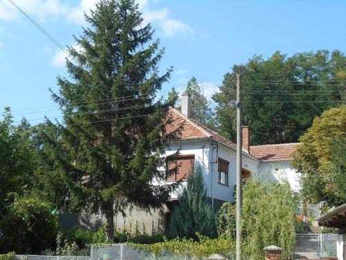 Stara Planina Villa | Villa Ljubica