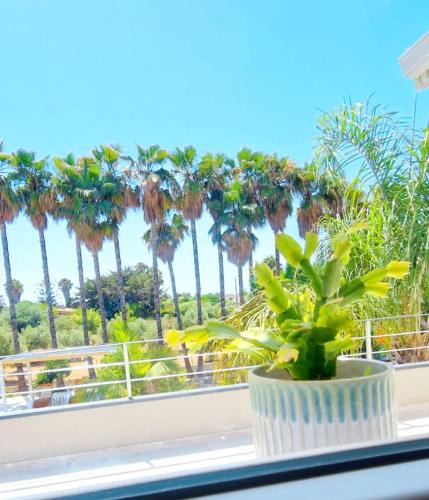 Santa Maria del Focallo Apartment | Villa LORY SWEET ORCHIDEA