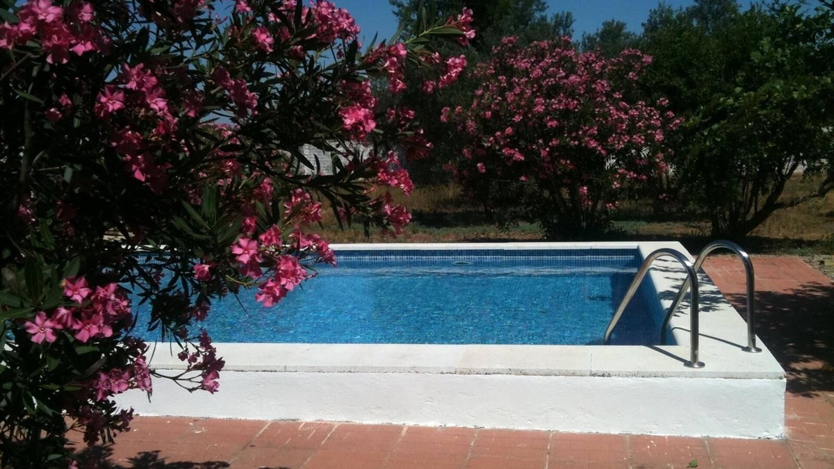 Marchena Villa | Villa Los Pinos with Pool, Wi-Fi, A/C, Terrace & Garden