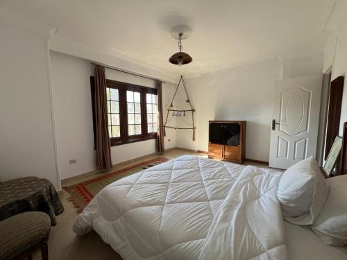 Taqseem Laselky House | Villa Maadi 35 -R 201- Street View Room