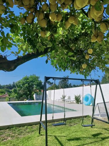 Pico Villa | Villa Madalena