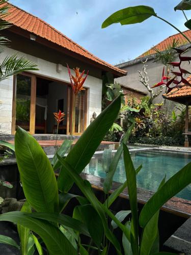 Pejeng Apartment | Villa Mahayoni