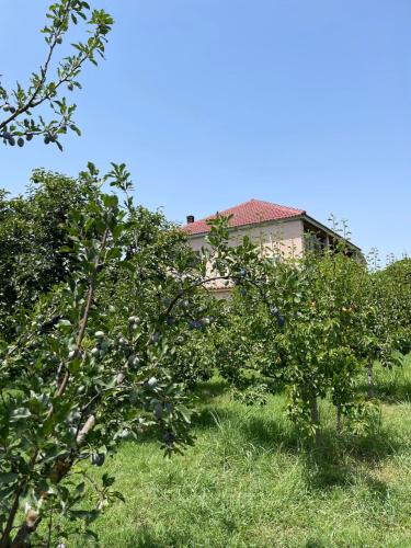 Otllak House | Villa Mance
