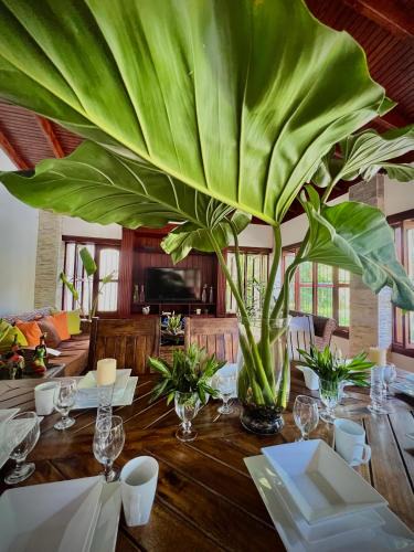La Vega House | Villa Margarita para tú deleite.”