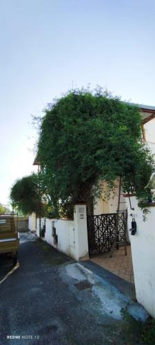 Furnari Apartment | Villa Maria