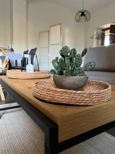 Renedo Apartment | Villa Marta loft diáfano con jardín y aparcamiento en Villa histórica