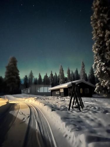 Pello Ski Chalet | Villa Moinalahti