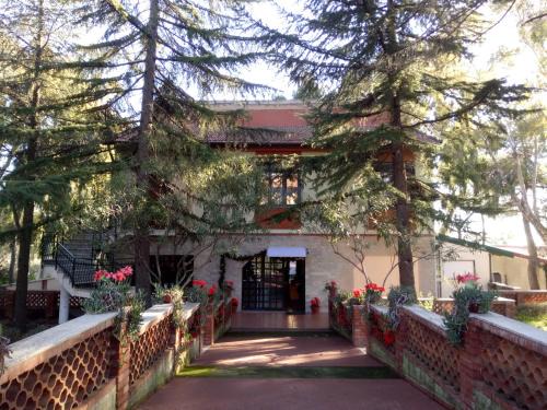 Pedara Bed & Breakfast | Villa Morgante B&B