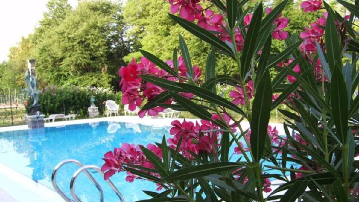Rovare Apartment | Villa Navagero Erizzo Ca' degli Steffani 1