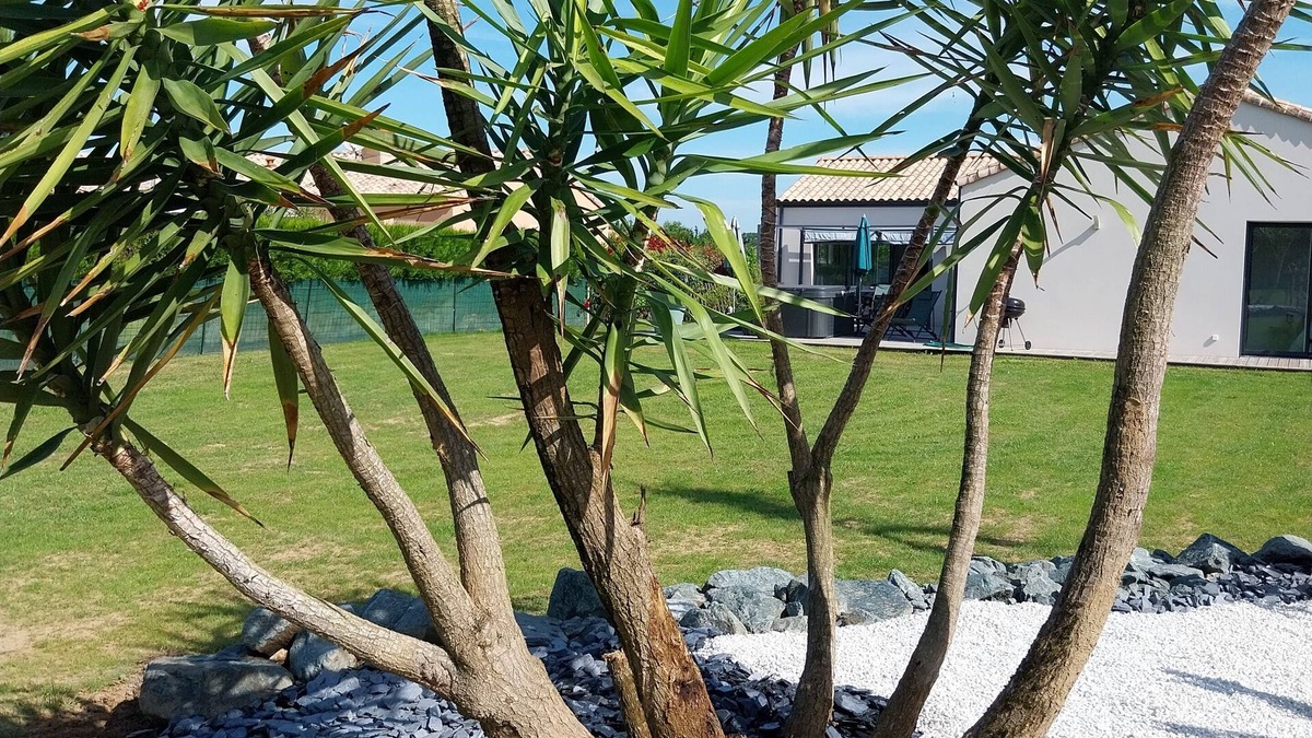 Saint-Vincent-sur-Jard Villa | Villa/new house 8 p. SPA & SAUNA private 2 kms from the beach, marshes, forests
