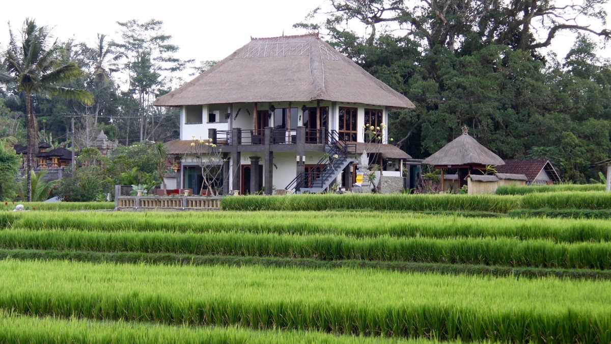 Sambahan Villa | Villa near Ubud, panoramic view of rice fields and the volcano