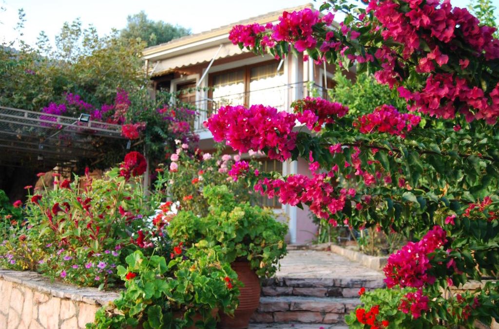Plataria Apartment | Villa Niki