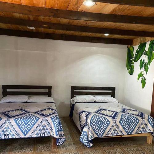 Xilitla House | Villa Olaya Completo