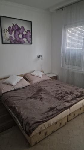 Heviz Apartment | Villa Olga