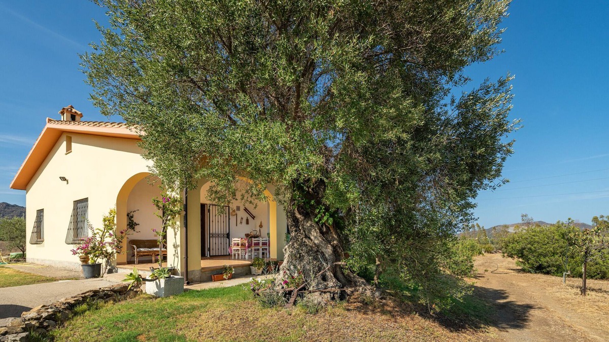 Villa San Pietro Villa | Villa 'Oliveto' with Mountain View, Private Terrace and Air Conditioning