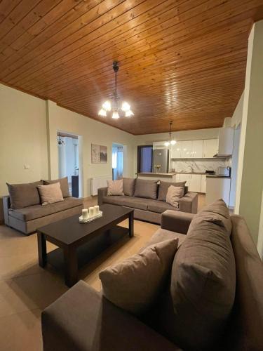 Fanari Villa | Villa Olvia