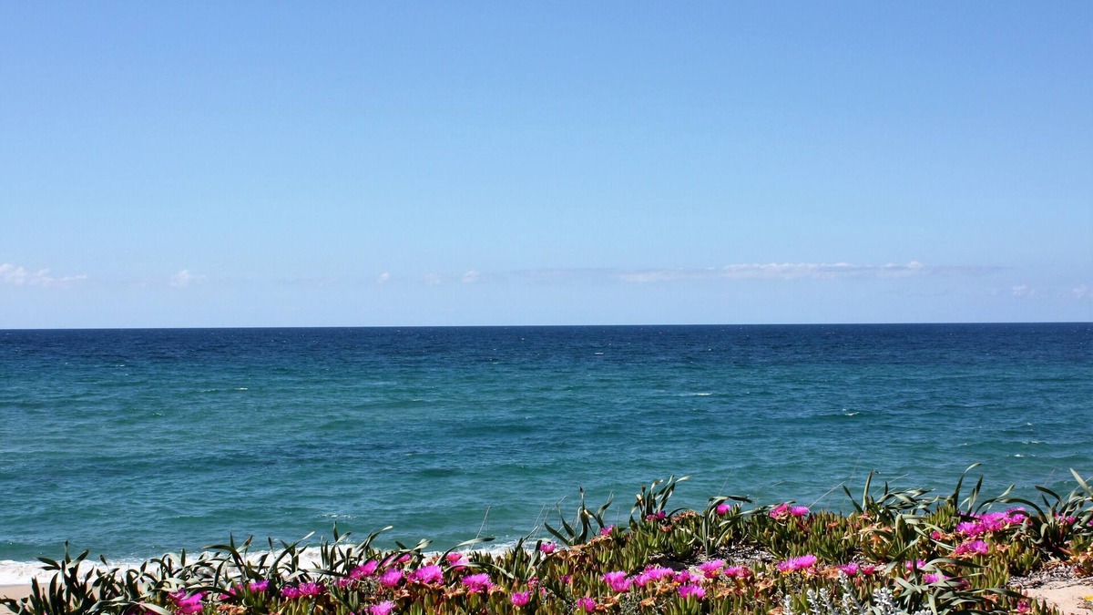 San Pietro a Mare Villa | Villa on sand dunes a few steps from the sea, complete relaxation in Northern Sardinia