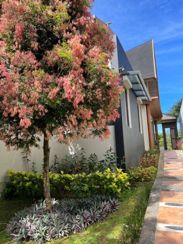 Ciawi Villa | Villa Ophelia at Vimala Hills