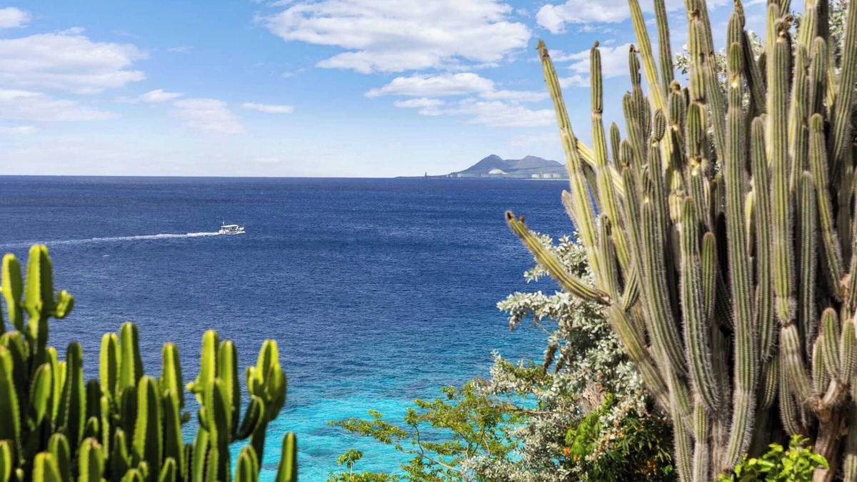 Sabadeco Villa | Villa Orange Palm with spectacular sea views and private pool