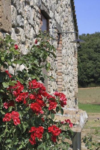 Orte Villa | Villa Orte