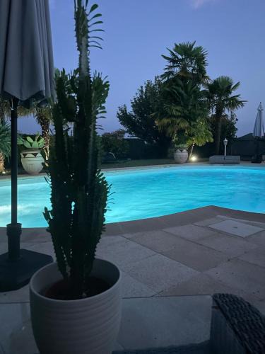 Courpignac Villa | Villa palmeraie