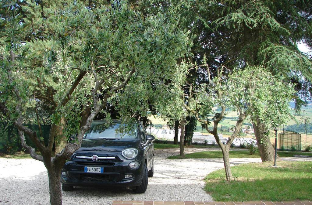 Mogliano Apartment | Villa Poggio San Pietro