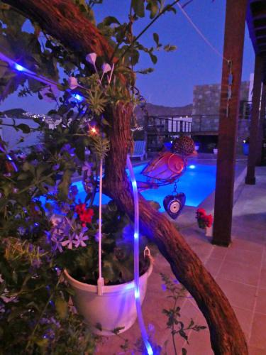 Koyunbaba Villa | Villa Priene - Gumusluk Private Pool