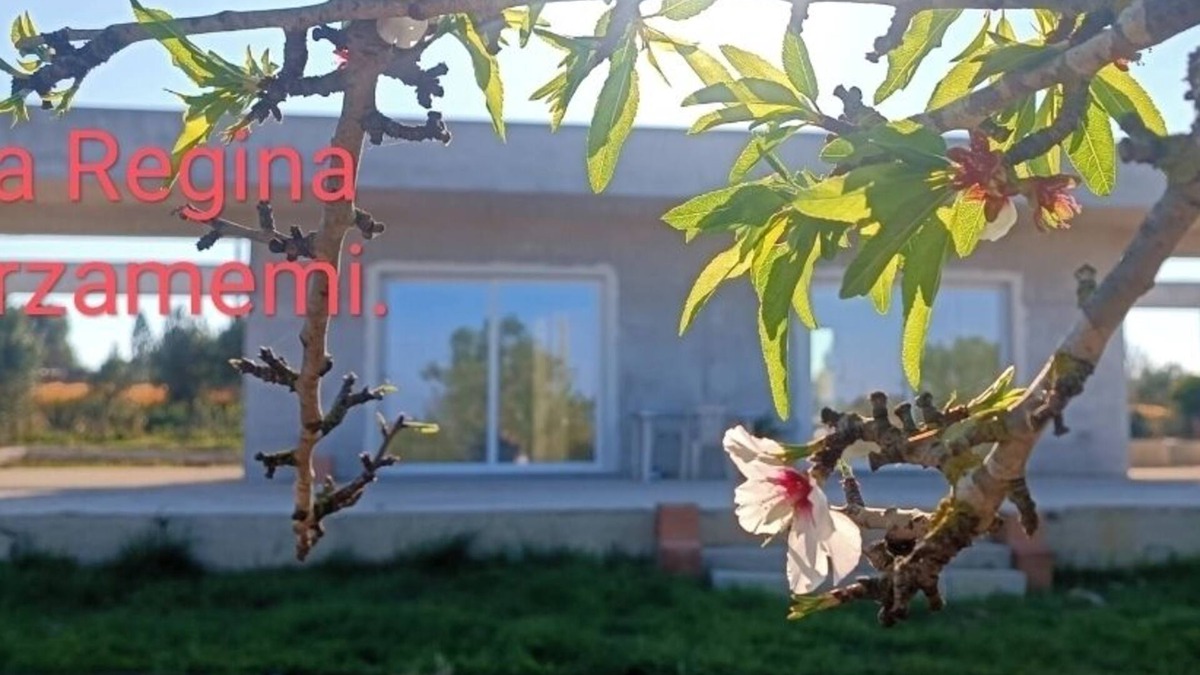 Noto Villa | Villa Regina Di Marzamemi Ubicata a un Passo dal Mare di San Lorenzo e Vendicari