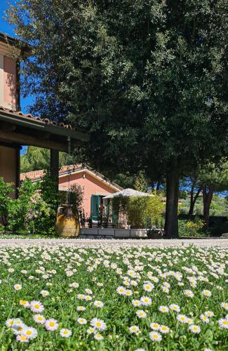 Camerano Apartment | Villa Rosa Augusta