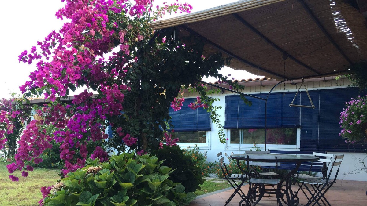 Pianoconte Villa | Villa Rosa dei Venti 2